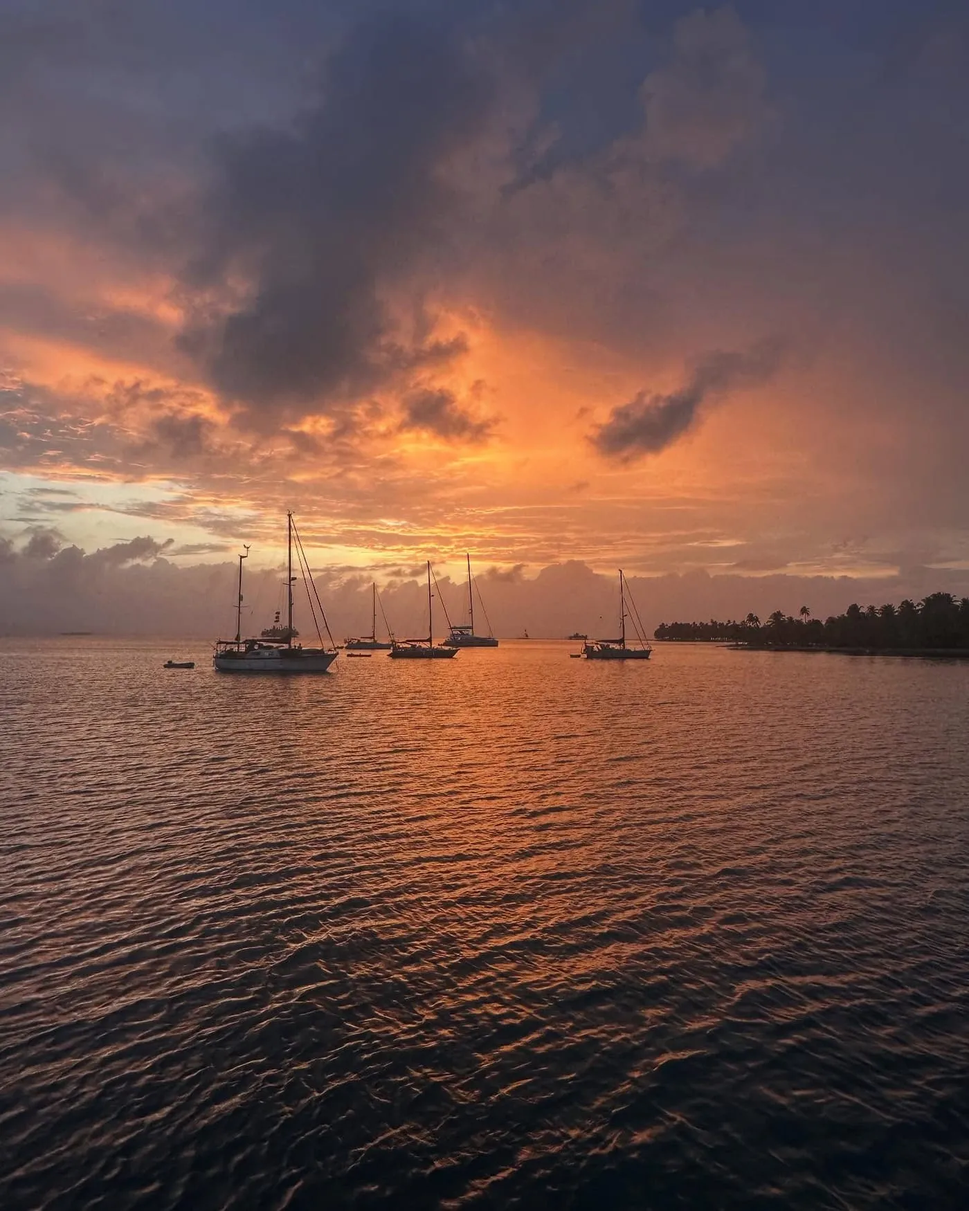Veleros fondeados en agua quieta bajo un cielo anaranjado de atardecer en Guna Yala