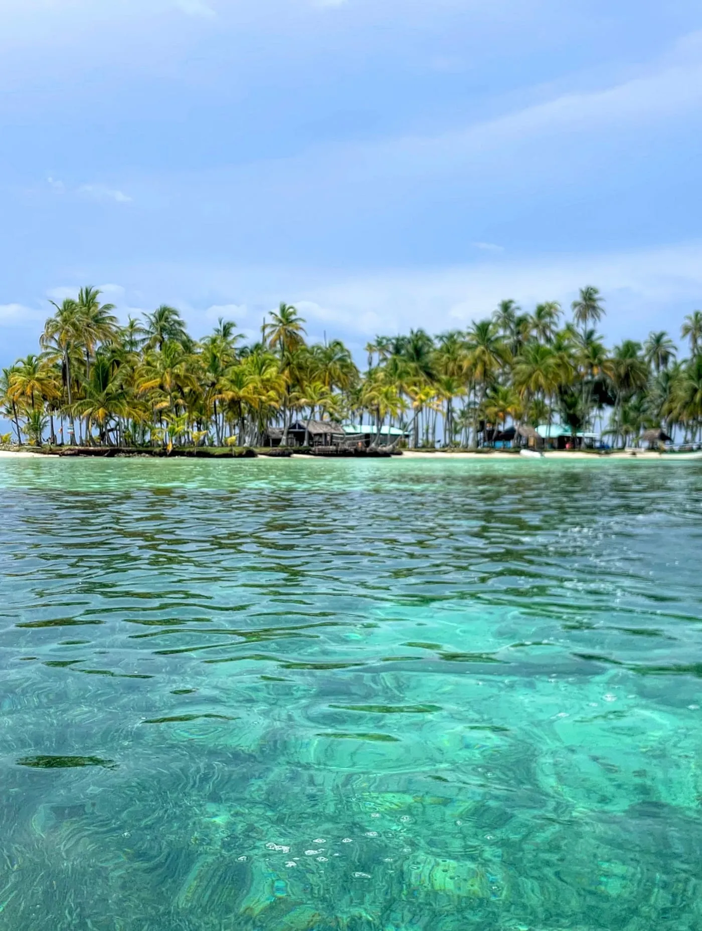 Clear turquoise shallows in front of a palm-covered island in Guna Yala