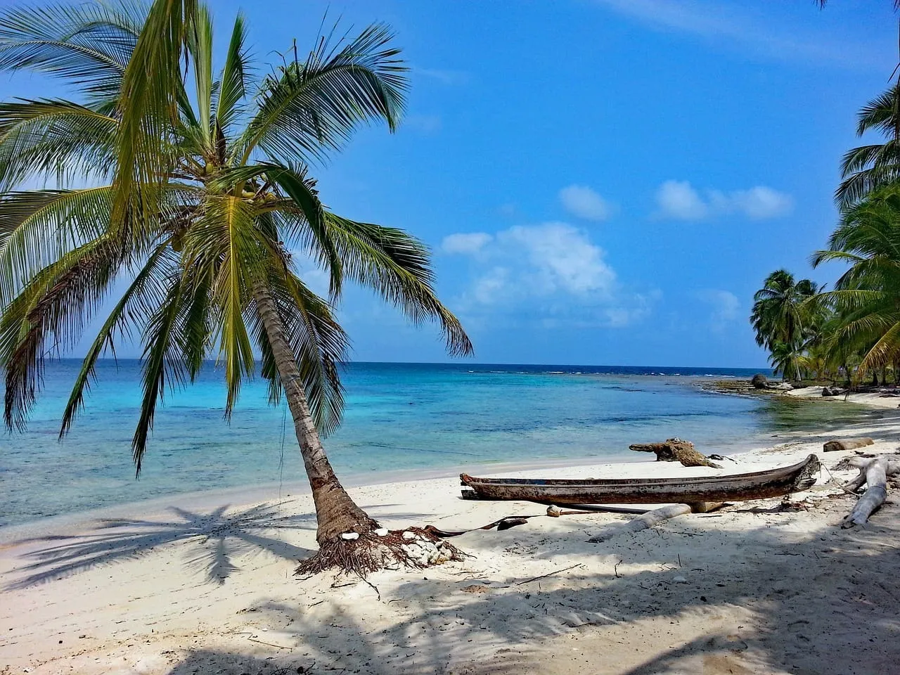 Una palmera inclinada sobre arena blanca y agua turquesa, con un cayuco de madera varado en la playa