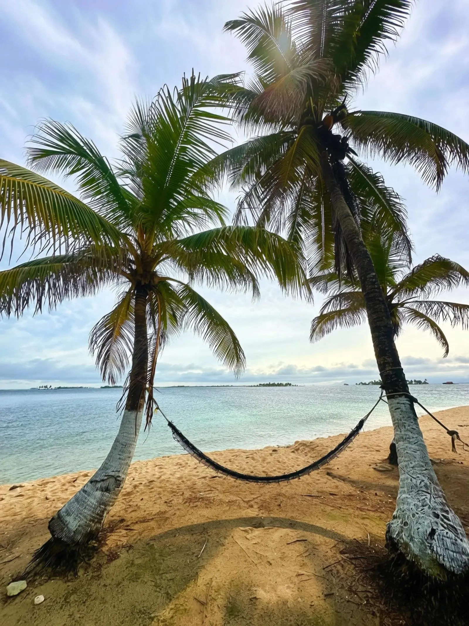 Una hamaca colgada entre dos palmeras inclinadas sobre una playa de arena blanca en Guna Yala