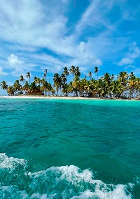 Tours en isla pelicano